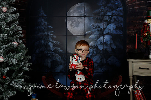 2021 Holiday Mini Session - Rodan