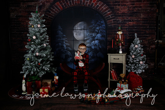 2021 Holiday Mini Session - Rodan