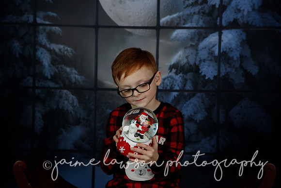 2021 Holiday Mini Session - Rodan