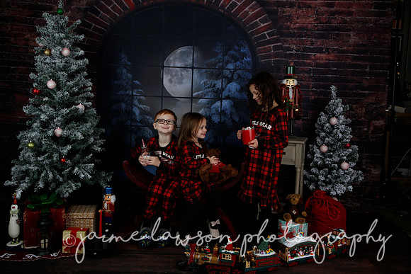 2021 Holiday Mini Session - Rodan