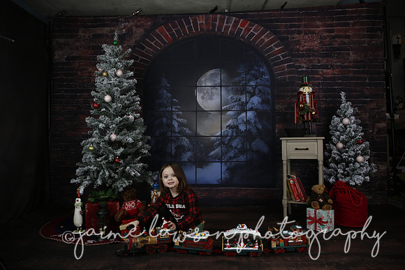 2021 Holiday Mini Session - Rodan