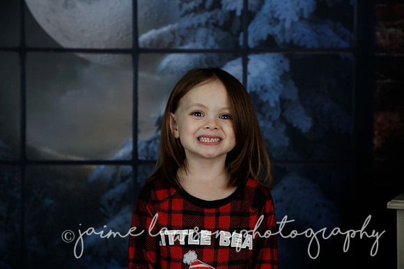 2021 Holiday Mini Session - Rodan