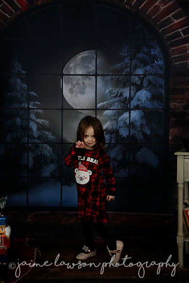 2021 Holiday Mini Session - Rodan