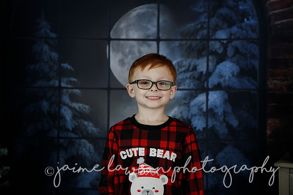 2021 Holiday Mini Session - Rodan