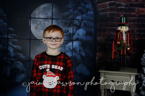 2021 Holiday Mini Session - Rodan