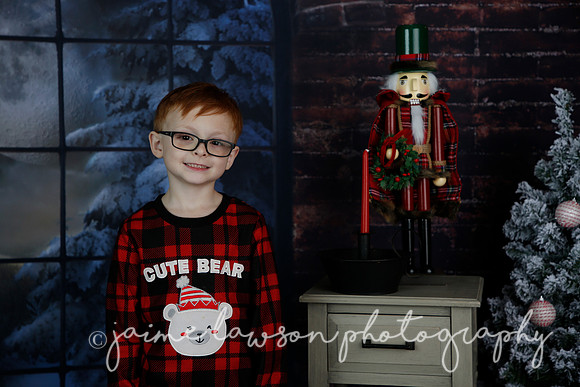 2021 Holiday Mini Session - Rodan