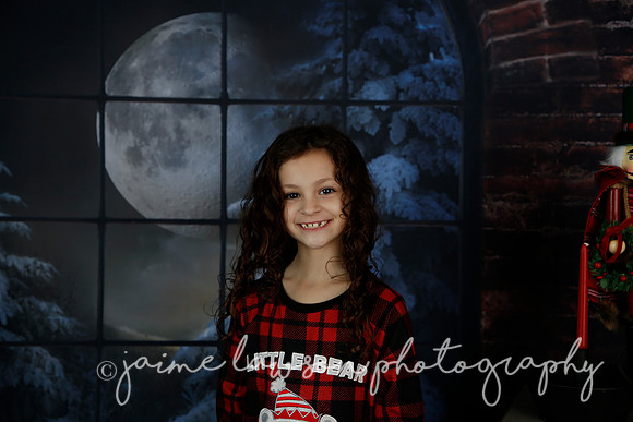 2021 Holiday Mini Session - Rodan