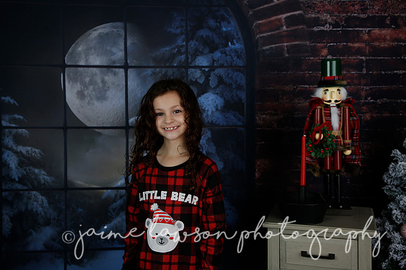 2021 Holiday Mini Session - Rodan