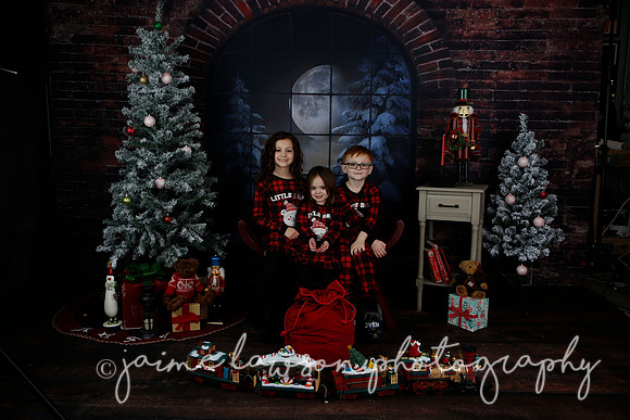 2021 Holiday Mini Session - Rodan