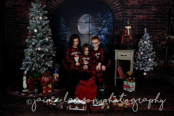 2021 Holiday Mini Session - Rodan