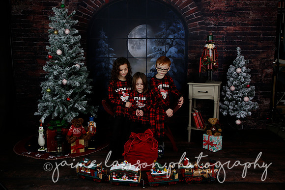2021 Holiday Mini Session - Rodan