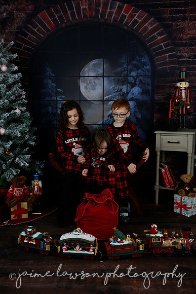 2021 Holiday Mini Session - Rodan