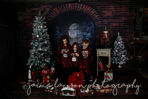 2021 Holiday Mini Session - Rodan