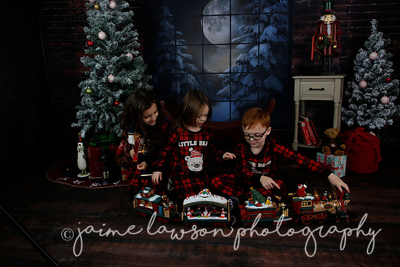 2021 Holiday Mini Session - Rodan