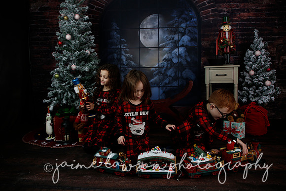 2021 Holiday Mini Session - Rodan