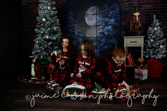 2021 Holiday Mini Session - Rodan