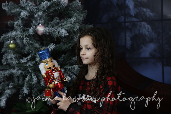 2021 Holiday Mini Session - Rodan