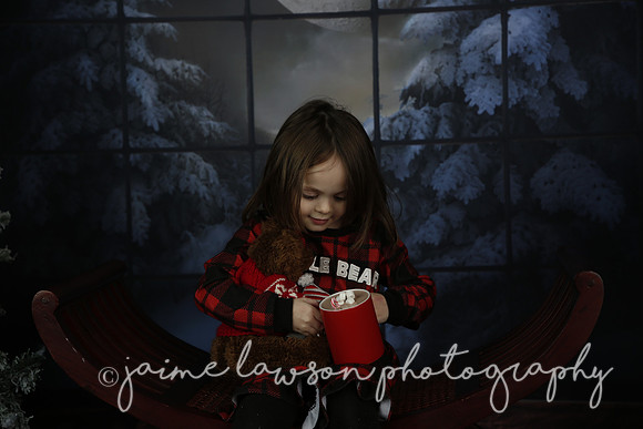 2021 Holiday Mini Session - Rodan