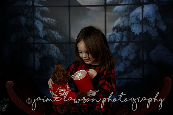 2021 Holiday Mini Session - Rodan