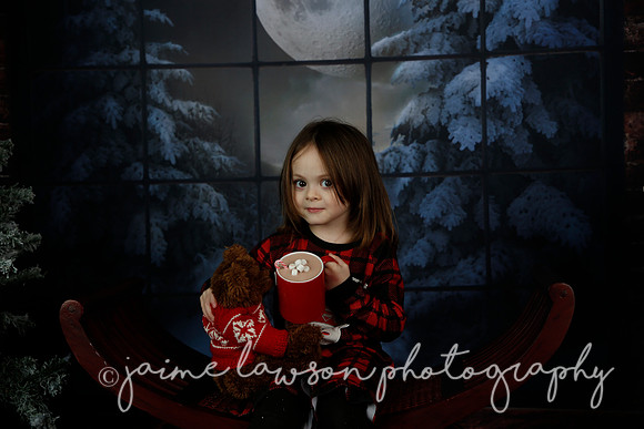 2021 Holiday Mini Session - Rodan