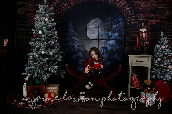 2021 Holiday Mini Session - Rodan