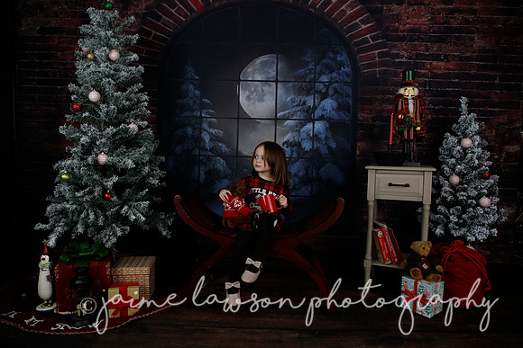 2021 Holiday Mini Session - Rodan