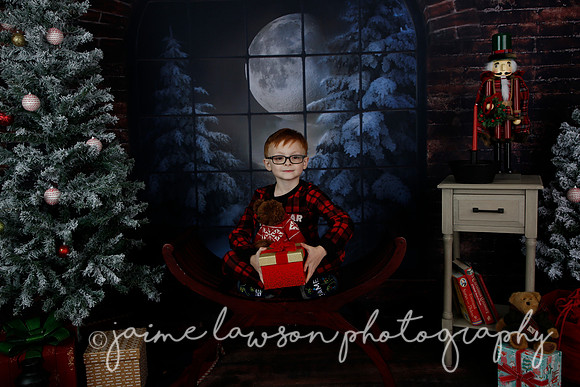 2021 Holiday Mini Session - Rodan