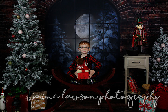 2021 Holiday Mini Session - Rodan