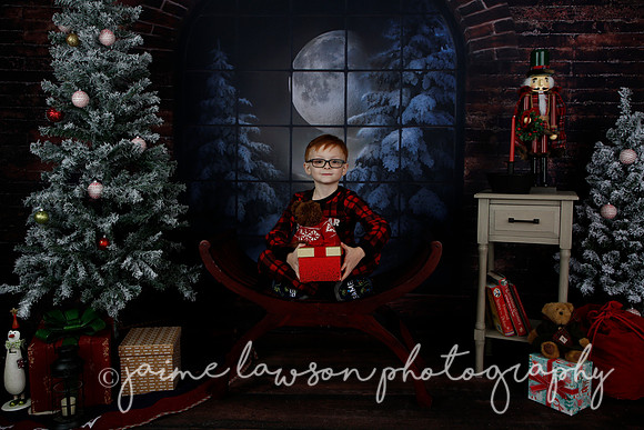 2021 Holiday Mini Session - Rodan