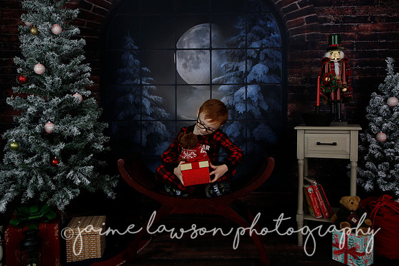 2021 Holiday Mini Session - Rodan