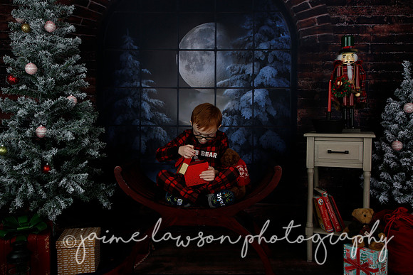 2021 Holiday Mini Session - Rodan