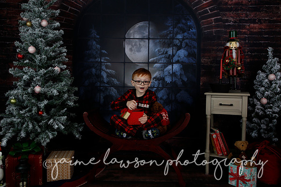 2021 Holiday Mini Session - Rodan