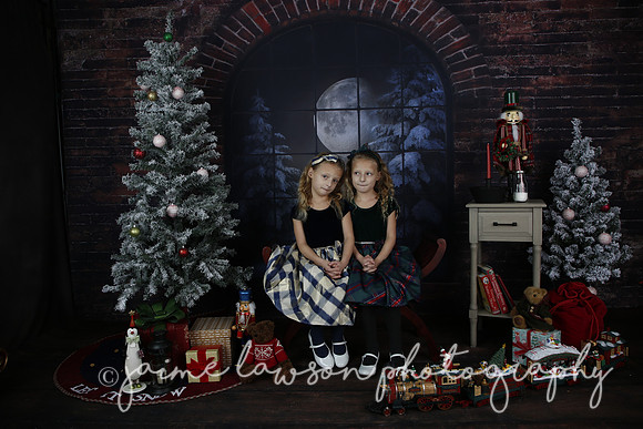 2021 Holiday Mini Session - Furlan