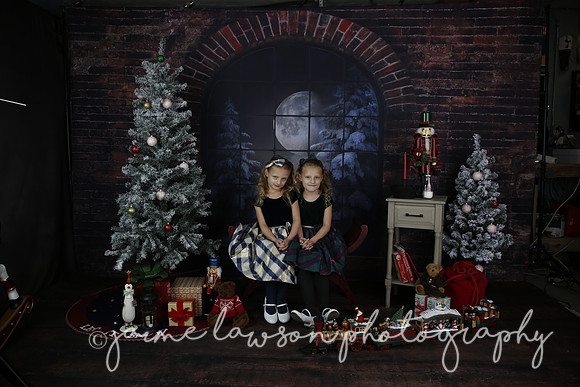 2021 Holiday Mini Session - Furlan