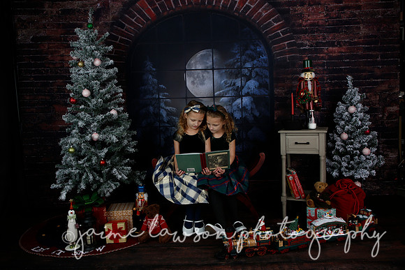 2021 Holiday Mini Session - Furlan