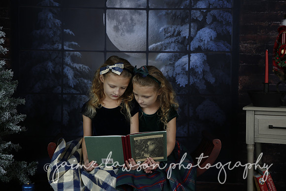 2021 Holiday Mini Session - Furlan