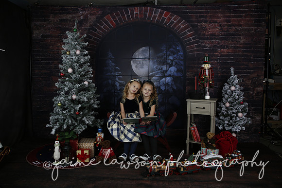 2021 Holiday Mini Session - Furlan