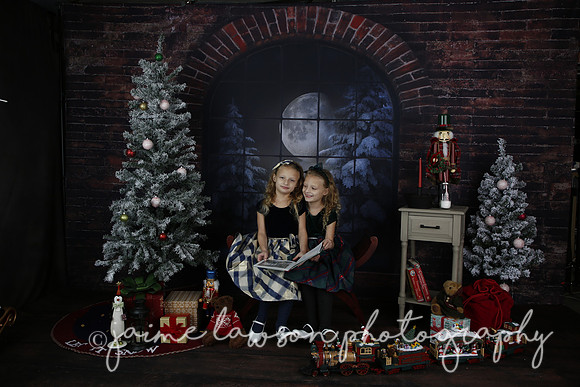 2021 Holiday Mini Session - Furlan