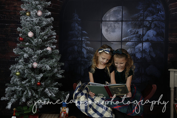 2021 Holiday Mini Session - Furlan