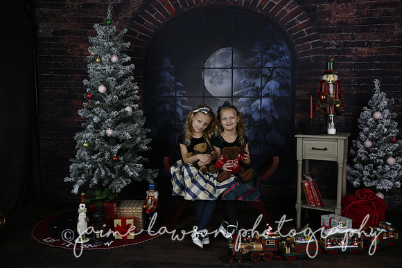 2021 Holiday Mini Session - Furlan