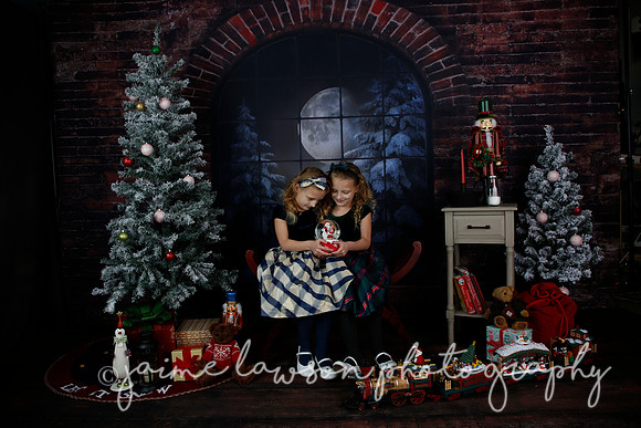 2021 Holiday Mini Session - Furlan
