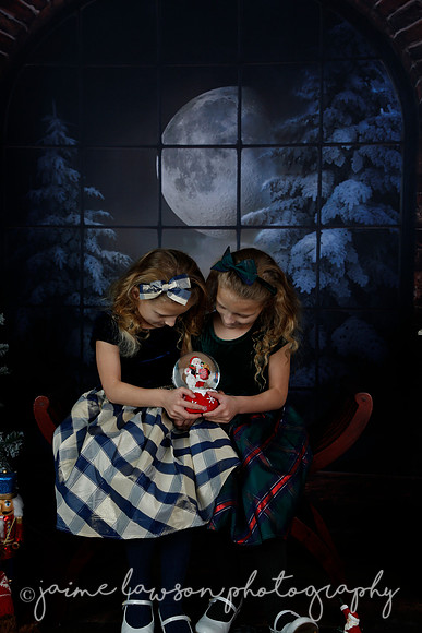 2021 Holiday Mini Session - Furlan