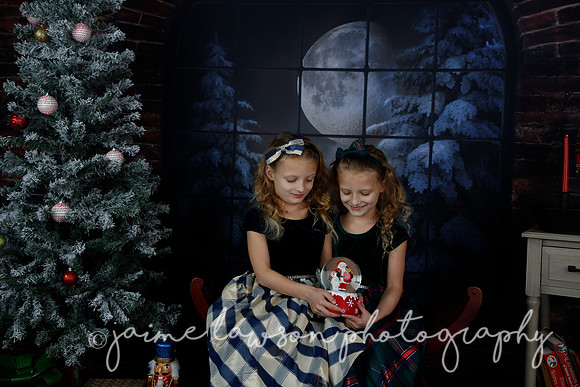 2021 Holiday Mini Session - Furlan