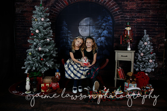 2021 Holiday Mini Session - Furlan