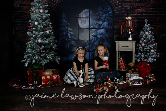 2021 Holiday Mini Session - Furlan