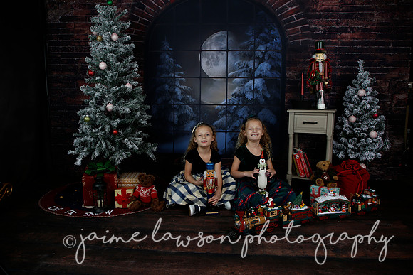 2021 Holiday Mini Session - Furlan