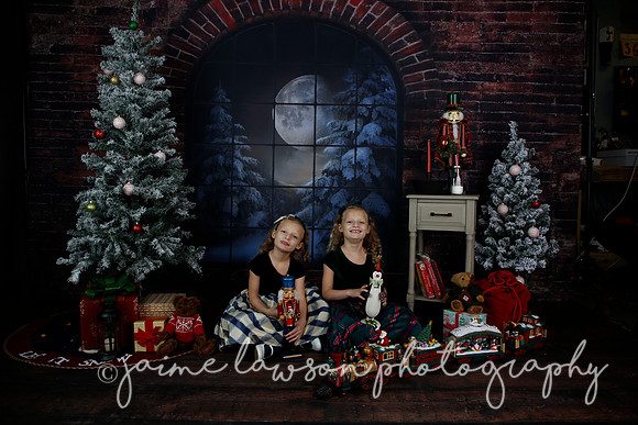 2021 Holiday Mini Session - Furlan