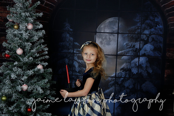 2021 Holiday Mini Session - Furlan