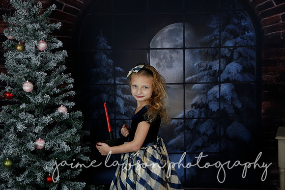 2021 Holiday Mini Session - Furlan
