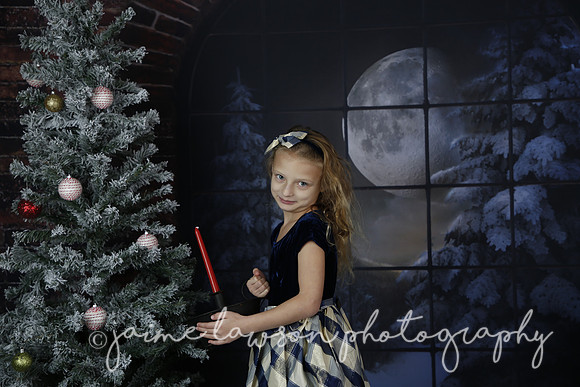 2021 Holiday Mini Session - Furlan